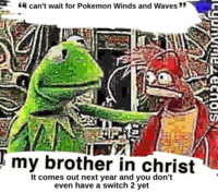 ❝❝I can't wait for Pokemon Winds and Waves"" chois my brother in christ It comes out next year and you don't even have a switch 2 yet