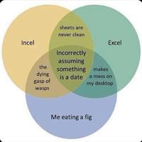 Incel sheets are never clean Excel the Incorrectly assuming something makes dying is a date a mess on gasp of my desktop wasps Me eating a fig