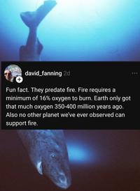 + david_fanning 2d Fun fact. They predate fire. Fire requires a minimum of 16% oxygen to burn. Earth only got that much oxygen 350-400 million years ago. Also no other planet we've ever observed can support fire.