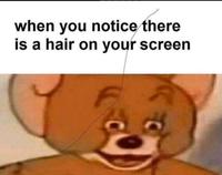 when you notice there is a hair on your screen