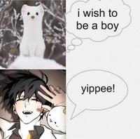 i wish to be a boy yippee!