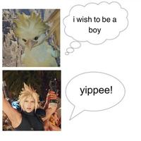 i wish to be a boy yippee!