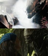 Xenomorph comparison 