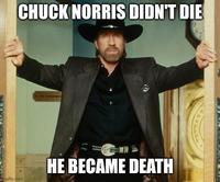 CHUCK NORRIS DIDN'T DIE HE BECAME DEATH mgflip.com