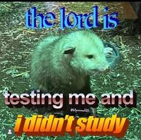 the lord is testing me and @69possums420 i didn't study