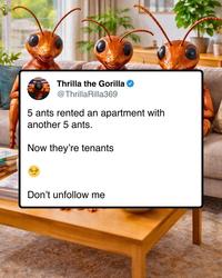 Thrilla the Gorilla @ThrillaRilla369 5 ants rented an apartment with another 5 ants. Now they're tenants Don't unfollow me