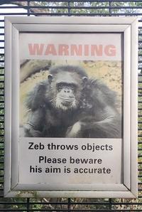 WARNING Zeb throws objects Please beware his aim is accurate