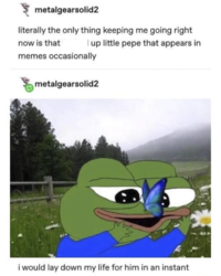 metalgearsolid2 literally the only thing keeping me going right I up little pepe that appears in now is that memes occasionally metalgearsolid2 i would lay down my life for him in an instant