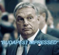 *BUDAPEST IMPRESSED*