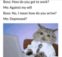 Boss: How do you get to work? Me: Against my will Boss: No, I mean how do you arrive? Me: Depressed?