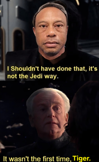 I Shouldn't have done that, it's not the Jedi way. It wasn't the first time, Tiger.