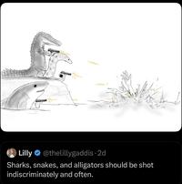 Lilly @thelillygaddis . 2d Sharks, snakes, and alligators should be shot indiscriminately and often.