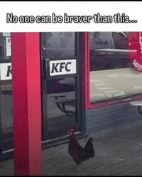 No one can be braver than this... KFC SAFEL