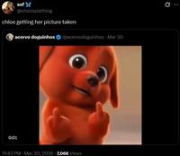 sof @ohsimplething chloe getting her picture taken acervo doguinhos @acervodoguinhos - Mar 30 0:01 11:43 PM Mar 30, 2026 7,066 Views