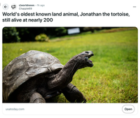 ← r/worldnews Chapple69 .1h ago World's oldest known land animal, Jonathan the tortoise, still alive at nearly 200 usatoday.com Open