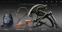 KIRA ZHURAVEL XX121 (A)-ovoflora XX121 (B) bio-mechanoid SPORE ENCephalopod Pupa Adult