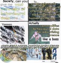 Society, can you give me vast networks of democratic systems of behavioural data???? To create cybernetic information for the maximisation of human wellbeing??? Actually commodifies Yeeees. Googl behavioural data for advertising revenue like a boss SURVEILLANCE CAPITALISM TIME Wish Shop Now