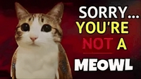 SORRY... YOU'RE NOT A MEOWL