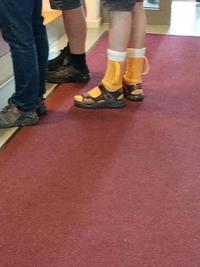 Beer socks