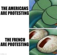 THE AMERICANS ARE PROTESTING THE FRENCH ARE PROTESTING imgflip.com