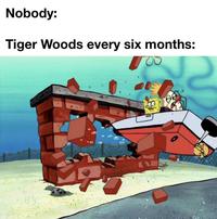 Nobody: Tiger Woods every six months: