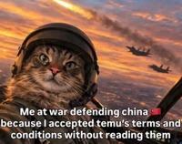 Me at war defending china because I accepted temu's terms and conditions without reading them