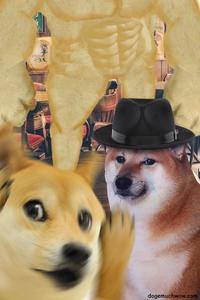 bruse Zot dogemuchwow.com