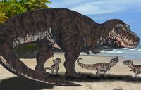 Tyrannosaurus family