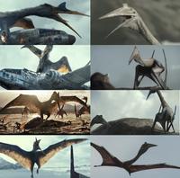 Quetzalcoatlus comparison 