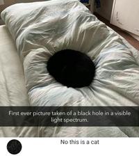 First ever picture taken of a black hole in a visible light spectrum. No this is a cat