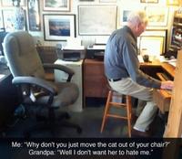 Me: "Why don't you just move the cat out of your chair?" Grandpa: "Well I don't want her to hate me."