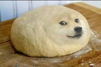 Does dogelore still have a discord server?? | /r/dogelore