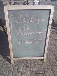 FRESH GELATO MADE IN STORE DAILY What do you Calla Curious neut? an askalot!! C K Y ABERDEEN