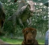 scared dog exploitable variant 