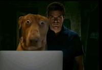 scared dog exploitable variant 