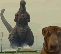 scared dog exploitable variant 2