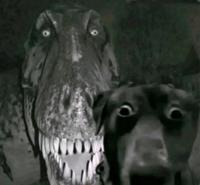 scared dog exploitable variant 7