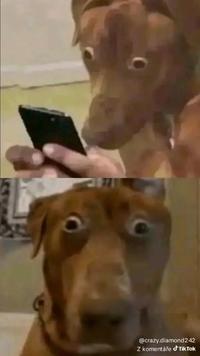 @crazy.diamond242 Z komentáře Tik Tok