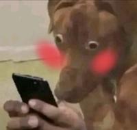 scared dog exploitable variant 8