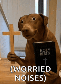 HOLY BIBLE (WORRIED NOISES)