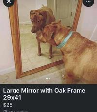 Large Mirror with Oak Frame 29x41 $25