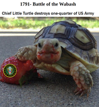1791- Battle of the Wabash Chief Little Turtle destroys one-quarter of US Army UNITED STATES **