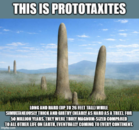 THIS IS PROTOTAXITES LONG AND HARD (UP TO 26 FEET TALL) WHILE SIMULTANEOUSLY THICK AND GIRTHY [NEARLY AS HARD AS A TREE). FOR 50 MILLION YEARS, THEY WERE TRULY MAGNUM-SIZED COMPARED TO ALL OTHER LIFE ON EARTH, EVENTUALLY COMING TO EVERY CONTINENT. imgflip.com
