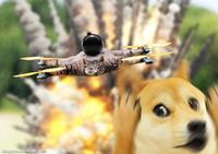 dogemuchwow.com