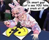 Ok smart guy! Let's see YOU take a crack at it!