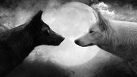 Black and White