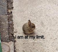 am at my limit.