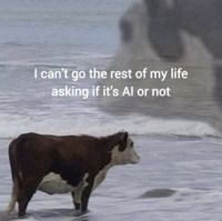I can't go the rest of my life asking if it's Al or not