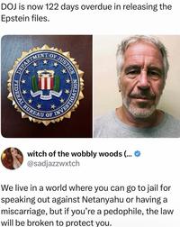 DOJ is now 122 days overdue in releasing the Epstein files. DEPARTMENT OF JUSTICE FEDERAL IGATION FIDELITY BRAVERY BUREAU OF INTEGRITY INVESTIC witch of the wobbly woods (... ✪ @sadjazzwxtch We live in a world where you can go to jail for speaking out against Netanyahu or having a miscarriage, but if you're a p--------, the law will be broken to protect you.