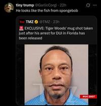 tiny t @Garlic Corgi 22h He looks like the fish from spongebob TMZ TMZ @TMZ. 23h *EXCLUSIVE: Tiger Woods' mug shot taken just after his arrest for DUI in Florida has been released 600 MUG SHOT